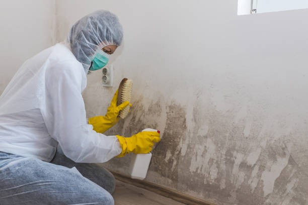 Best Mold Testing  in Vinita, OK