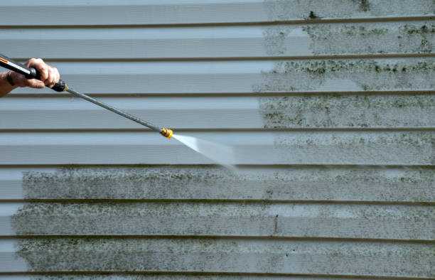 Best Mold Remediation Services  in Vinita, OK