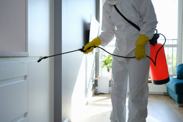 Attic Mold Removal in Vinita, OK