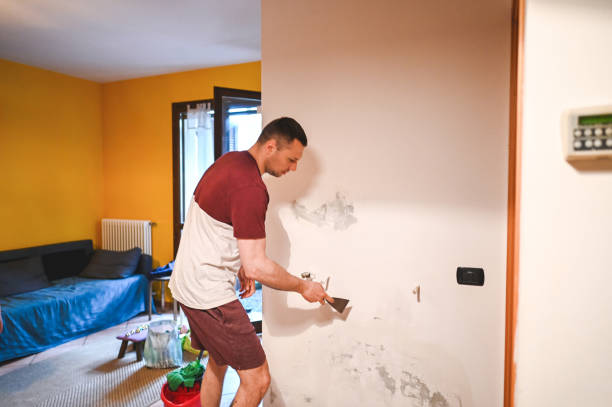 Best Emergency Mold Removal  in Vinita, OK