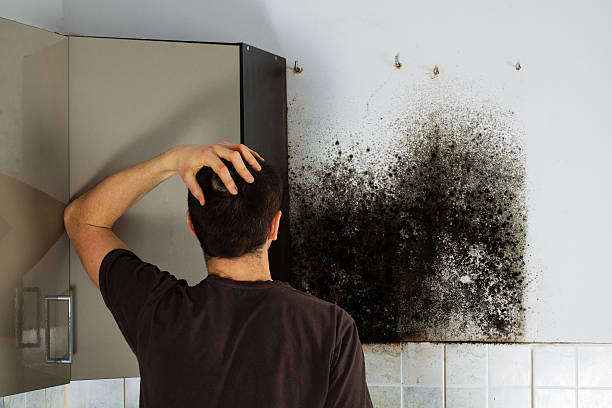 Best Residential Mold Removal  in Vinita, OK